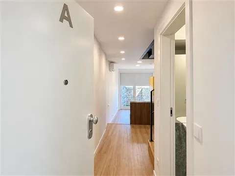 Wohnung 1 Schlafzimmer