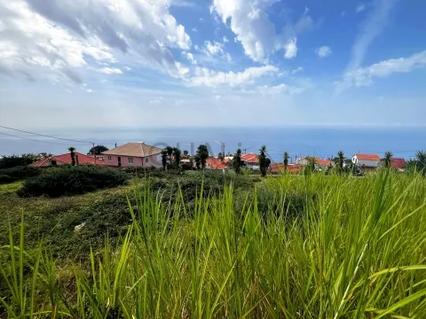 Terreno para Construção nos Prazeres, Calheta