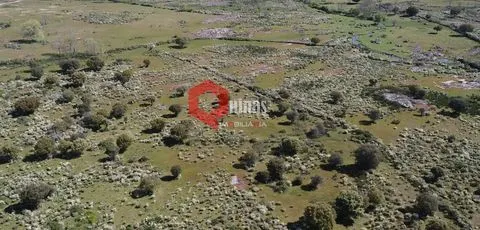 Terreno agricola com 19ha, Malpartida, Almeida