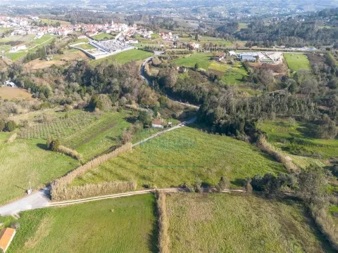 Terrain de 13 000 m² à Cela Nova, Alcobaça