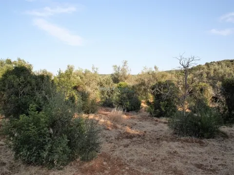 Building plot for 2 individual villas with Pool