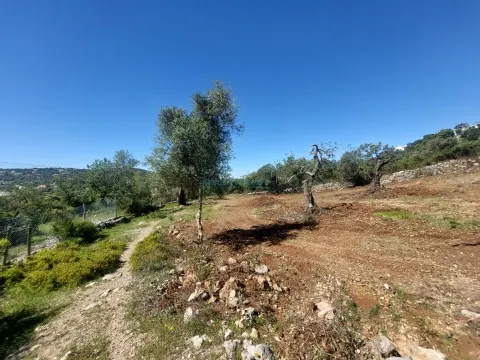 Terreno Rústico na Soalheira
