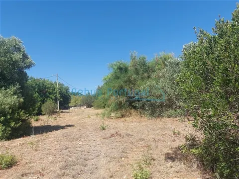 Terreno para Construção de 3 Moradias