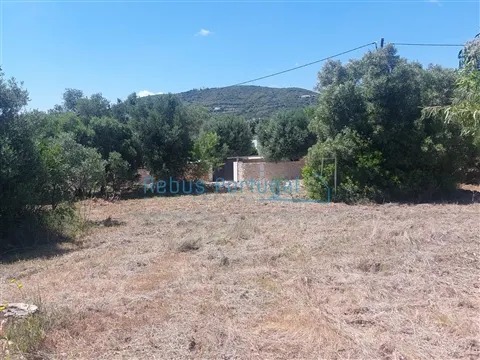 Terreno para Construção de 3 Moradias