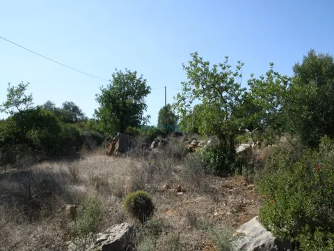 Rustic plot of 3.040 near Estoi