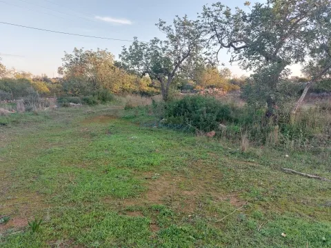 Terreno rustico de 3.040m2 perto de Estoi