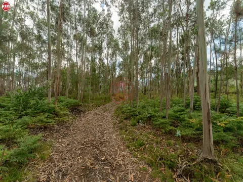 Terreno rústico com 8.000m2 em Lever