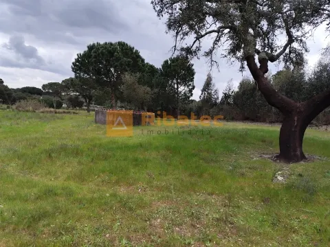 Terreno com viabilidade de construção