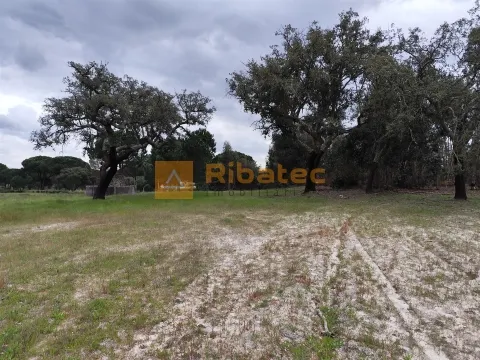 Terreno com viabilidade de construção