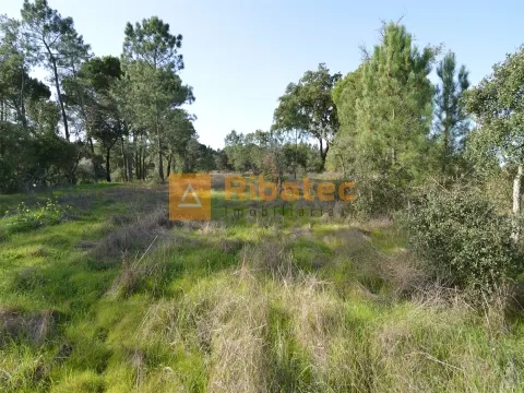 Terreno para construção no Valverde