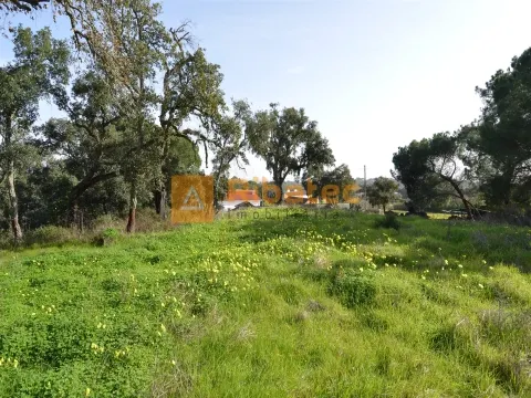 Terreno para construção no Valverde