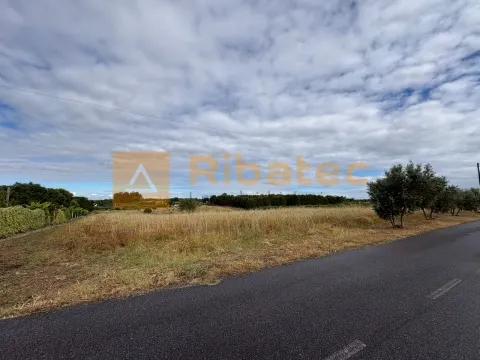 Real estate land