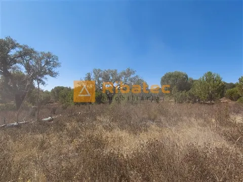 Terreno com 5 hectares no Couço