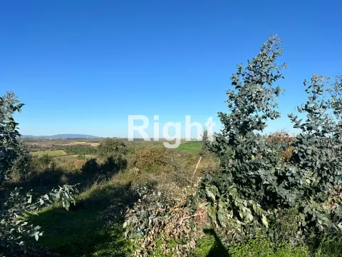 Oportunidade de investimento