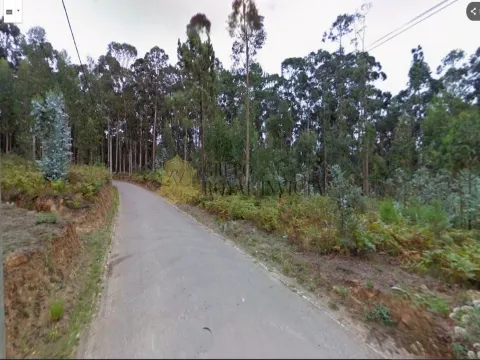 Excelente terreno rústico com PDM previsto para Terreno Industrial - 9.800 m2