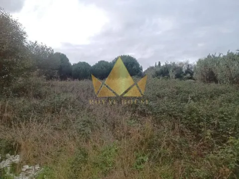 10721m2 Land for Sale in Batalha