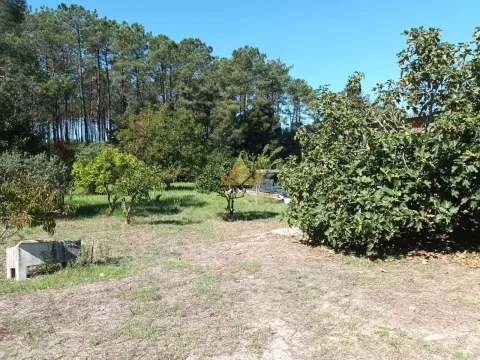 1,250 m² Rustic Land for Sale in Marinha Grande