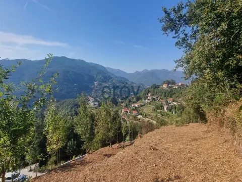 Real Estate building