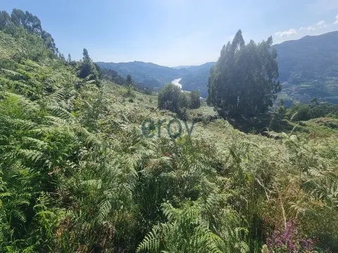 Real Estate building