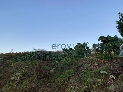 Piece of Real Estate