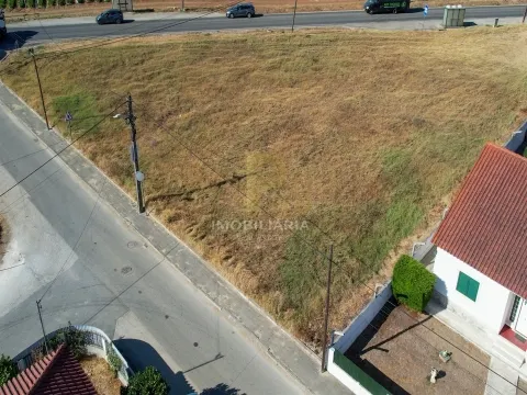 Real Estate building