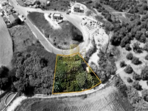 Terrain urbain