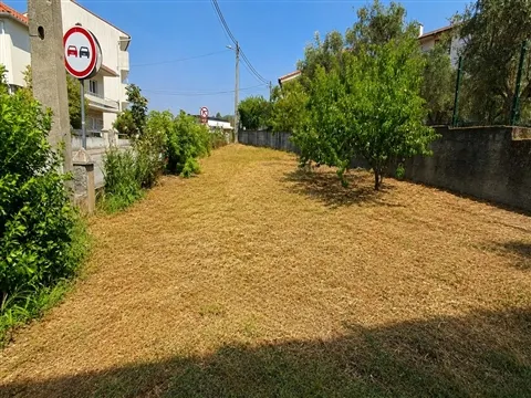 T3