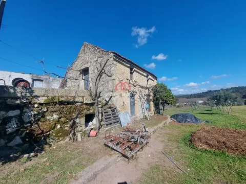 Quintinha T0, Viseu, Mangualde