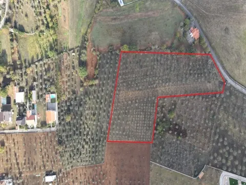 Terreno de 13.120 m² em Santa Comba, Seia