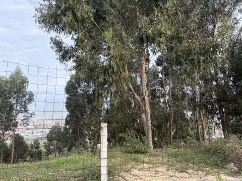 Terreno Para Construção