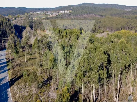 Terreno à Venda com PIP  para moradias em Santo Tirso - Água Longa.