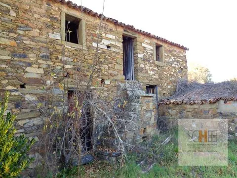 Vivienda 2 habitaciones