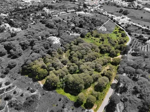 Terreno Rústico, Porches, Lagoa