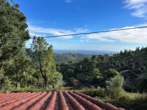 Ruína, Monchique, Algarve