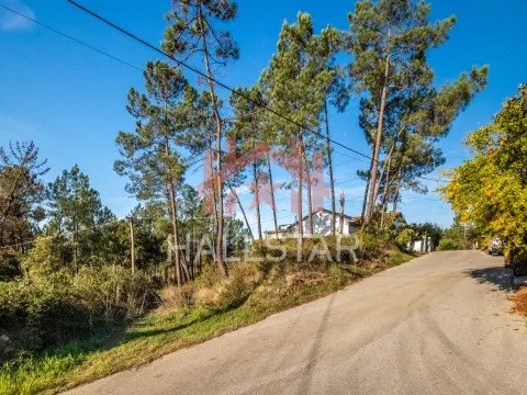 Terreno per Costruzione