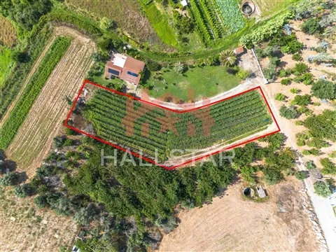 Terreno para construção / Área de 1848m² / Souto da Carpalhosa