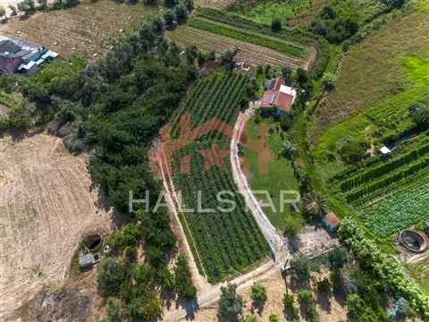 Terreno para construção / Área de 1848m² / Souto da Carpalhosa