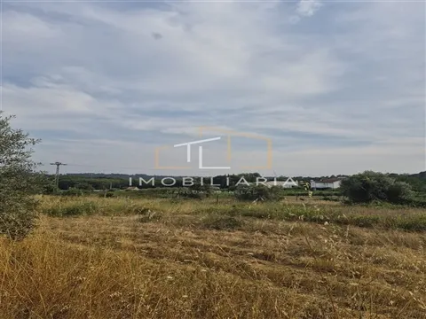 Terreno com viabilidade de construção na Vila de Santar