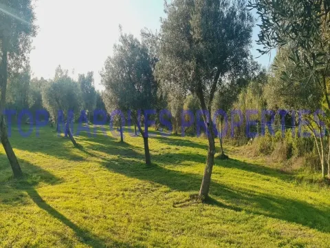 Terreno com Ruína com projecto de Construção