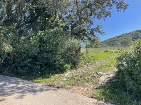 Terreno Rústico para Venda em Santa Bárbara de Nexe