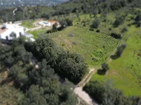 Terreno Rústico para Venda em Santa Bárbara de Nexe