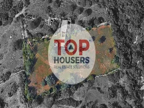 Land with Ruin (T3) - Goldra de Baixo - Santa Bárbara de Nexe