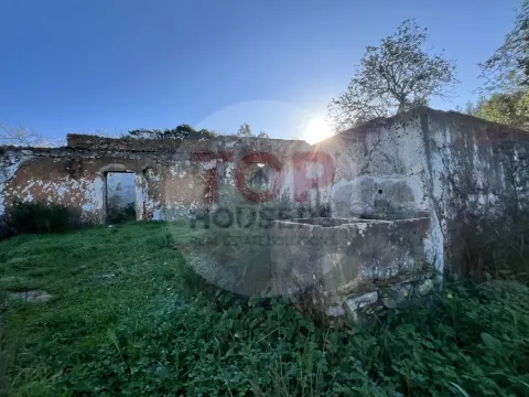 Land with Ruin (T3) - Goldra de Baixo - Santa Bárbara de Nexe