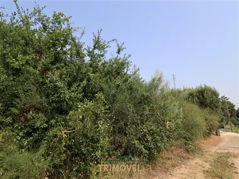 Terreno Para Construção