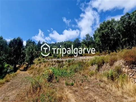img_27
