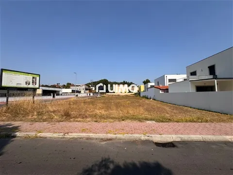 img_1