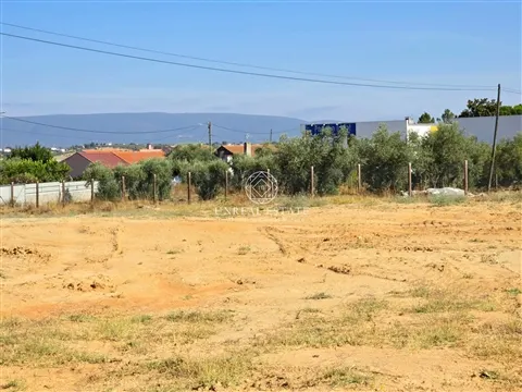 Terrain rural