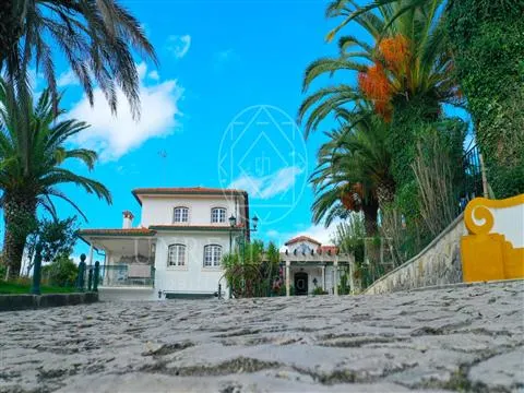 Quinta de Luxo, localizada em Torres Novas no distrito de Santarém.