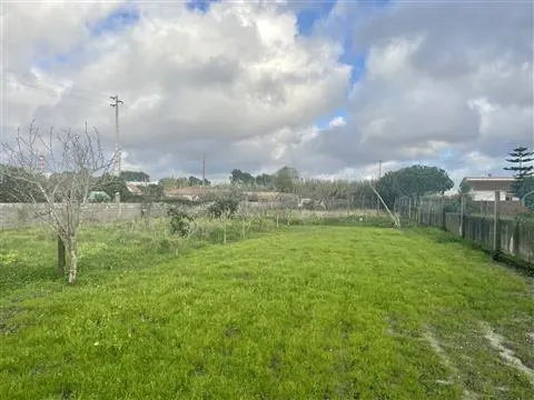 Terreno para construção / Com Muro / Marinha Grande