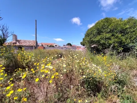 Moradia / Terreno / Vieira de Leiria / Marinha Grande